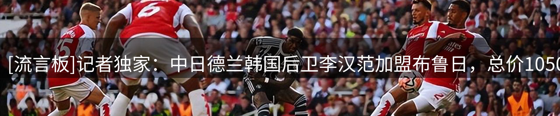 新闻资讯